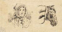 TvB G 1903
<br/>
Vrouwenkop; paardenhoofd
<br/>
<em>Man, Nothenius de (1793-1842)</em>